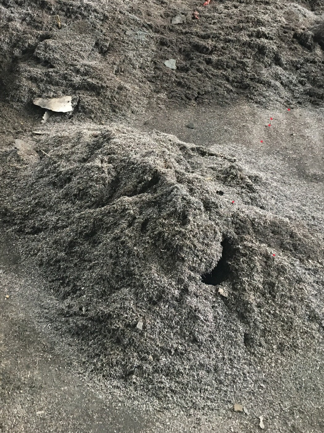 12月30日张家口科技公司氧化铁渣（废砂轮沫）招标公告