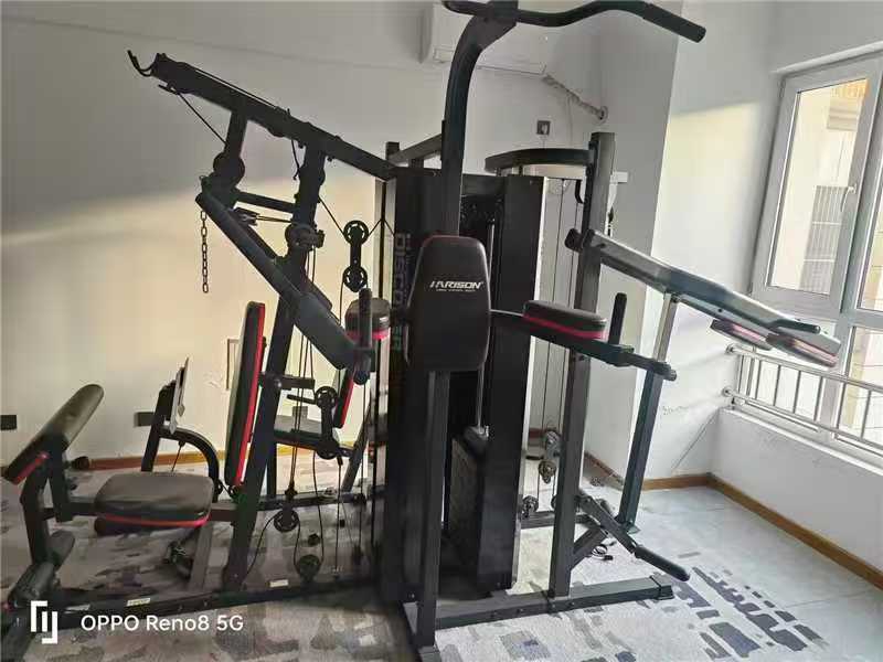 1月14日邯郸供应链管理公司60 功能综合健身器 Wb物资竞拍0030招标公告